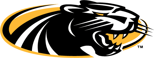 Wisconsin-Milwaukee Panthers 2002-2010 Alternate Logo diy fabric transfer
